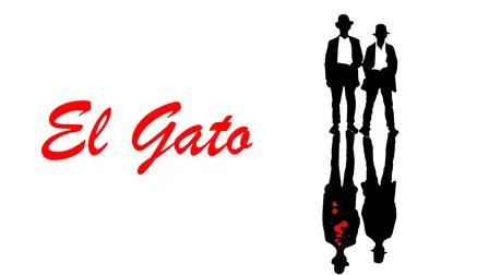 El gato