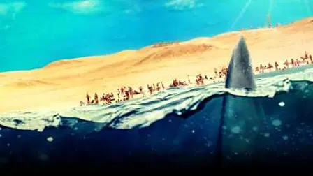 Tiburón asesino en el Mar Rojo