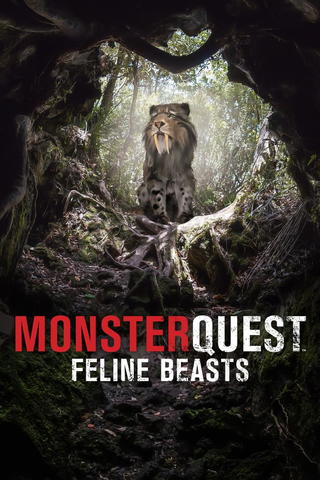 MonsterQuest: Feline Beasts