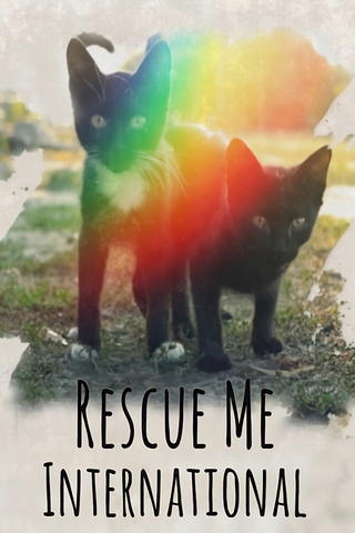 Rescue Me: International