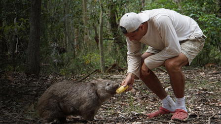 Wild Frank Animal Traffick