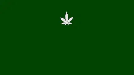 The Green Standard