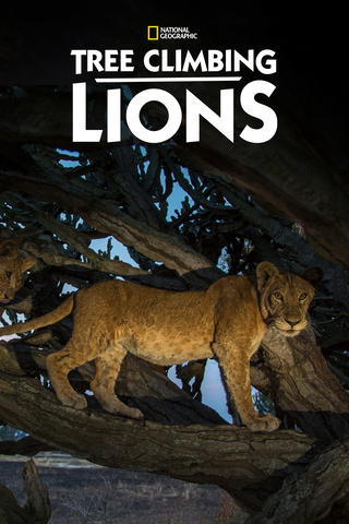 Puissa kiipeilevät leijonat