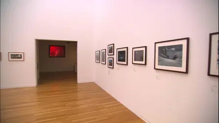 A Ghibli Artisan - Kazuo Oga Exhibition - The One Who Drew Totoro's Forest