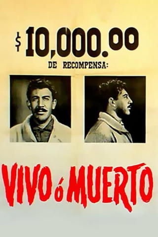 Vivo O Muerto