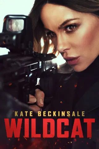 Wildcat
