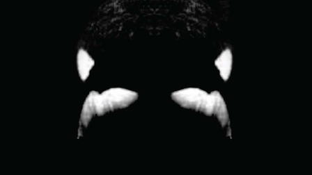 Blackfish