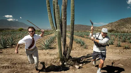I Mexico går det godt