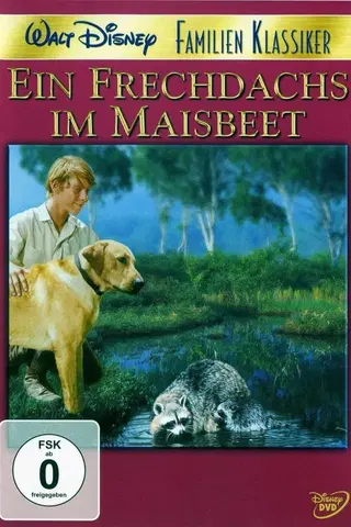 Rascal - Ein Frechdachs im Maisbeet