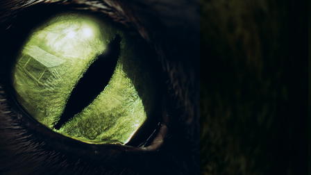 Monster Movie