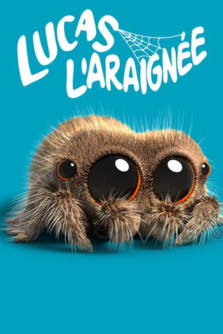 Lucas l'araignée