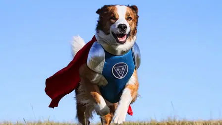 Super Buddies - Valpeheltene