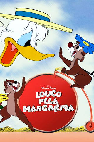 Louco pela Margarida