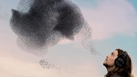 Birdsong