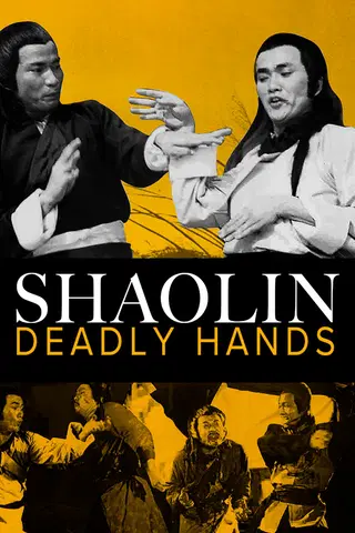 Shaolin Invincible Guys