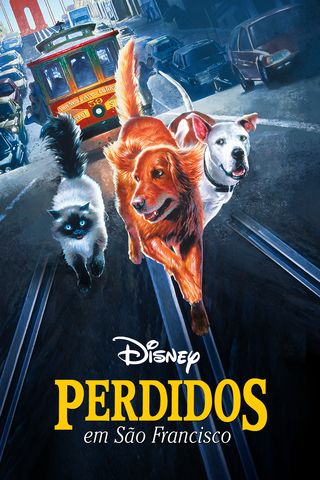 Perdidos em São Francisco
