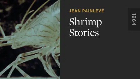 Garnelen-Geschichten