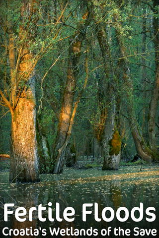 Fertile Floods - Croatia's Wetlands of the Save