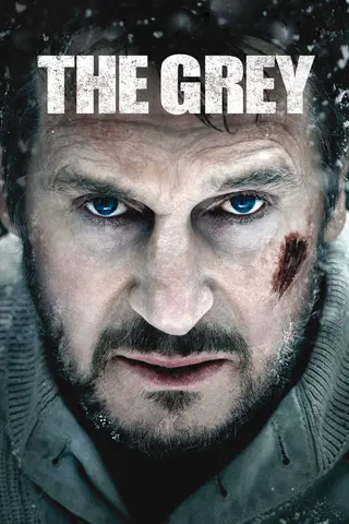 The Grey