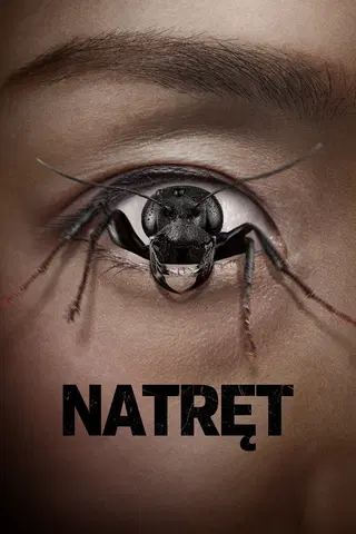 Natręt