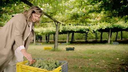 Wine Masters: Penedès Climate Change