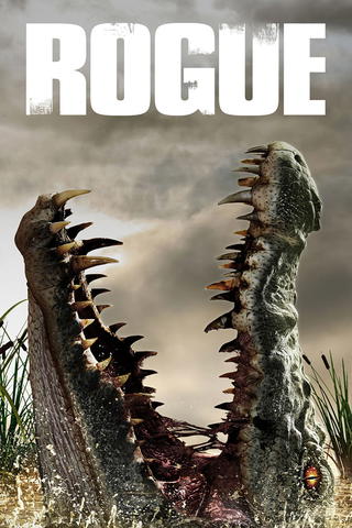 Rogue
