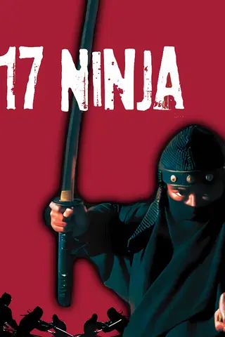 17 Ninja