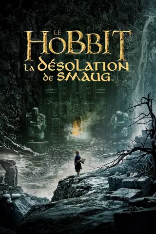 Le Hobbit : La Désolation de Smaug