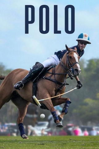 Polo: Ära, berömmelse och hästar