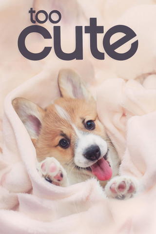 Too Cute!