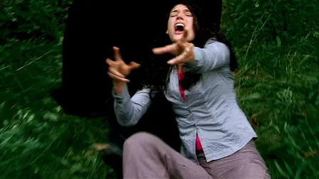 Don't Go in the Woods