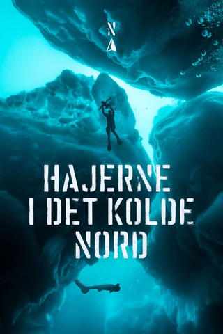 Hajerne i det kolde nord