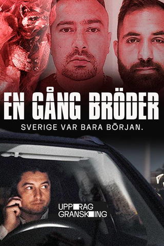 Uppdrag granskning: En gång bröder