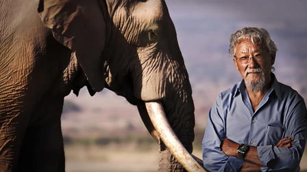 Jumbo: The Life of an Elephant Superstar