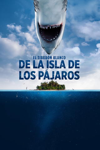 Tiburón hembra en Bird Island