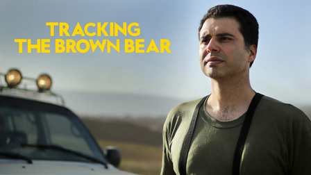 Tracking the Brown Bear