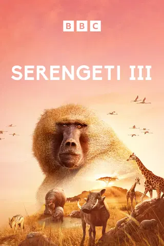Serengeti III