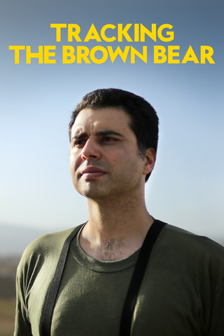 Tracking the Brown Bear