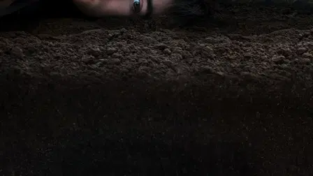 Mr. Harrigan's Phone