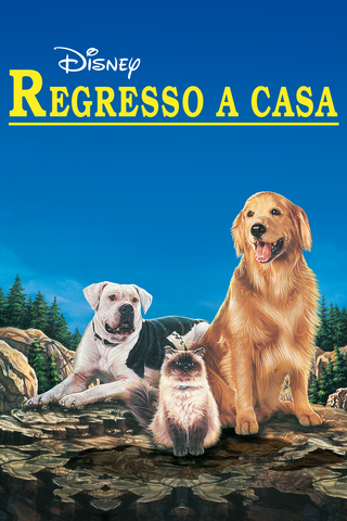 Regresso a Casa