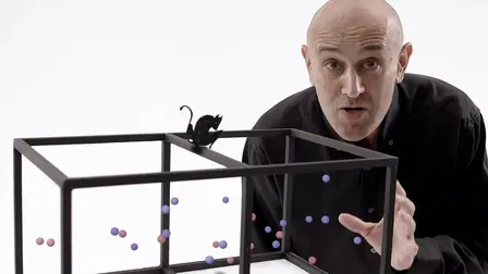Order and Disorder: The Forces that Drive the Universe