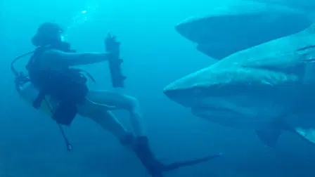 Deep Blue Sea 3