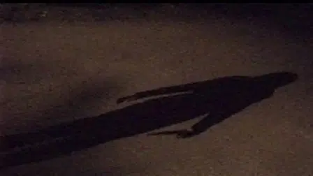 The Chameleon Killer