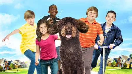 The Solomon Bunch