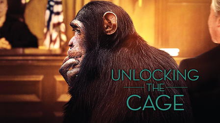Unlocking the Cage