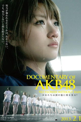 Documentary of AKB48 No Flower Without Rain