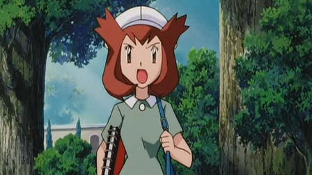 Pokémon: Helden