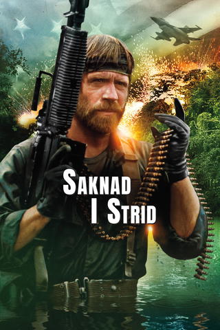 Saknad i strid