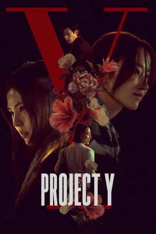 Proyecto Y