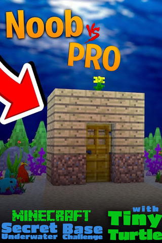 Secret Underwater Challenge: Tiny Turtle